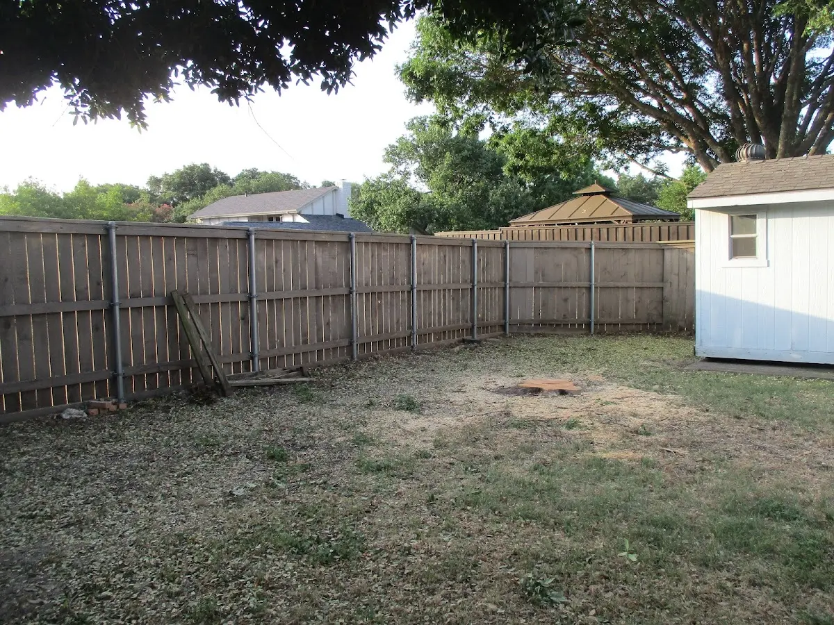 Cleared yard after professional tree removal in West Tisbury